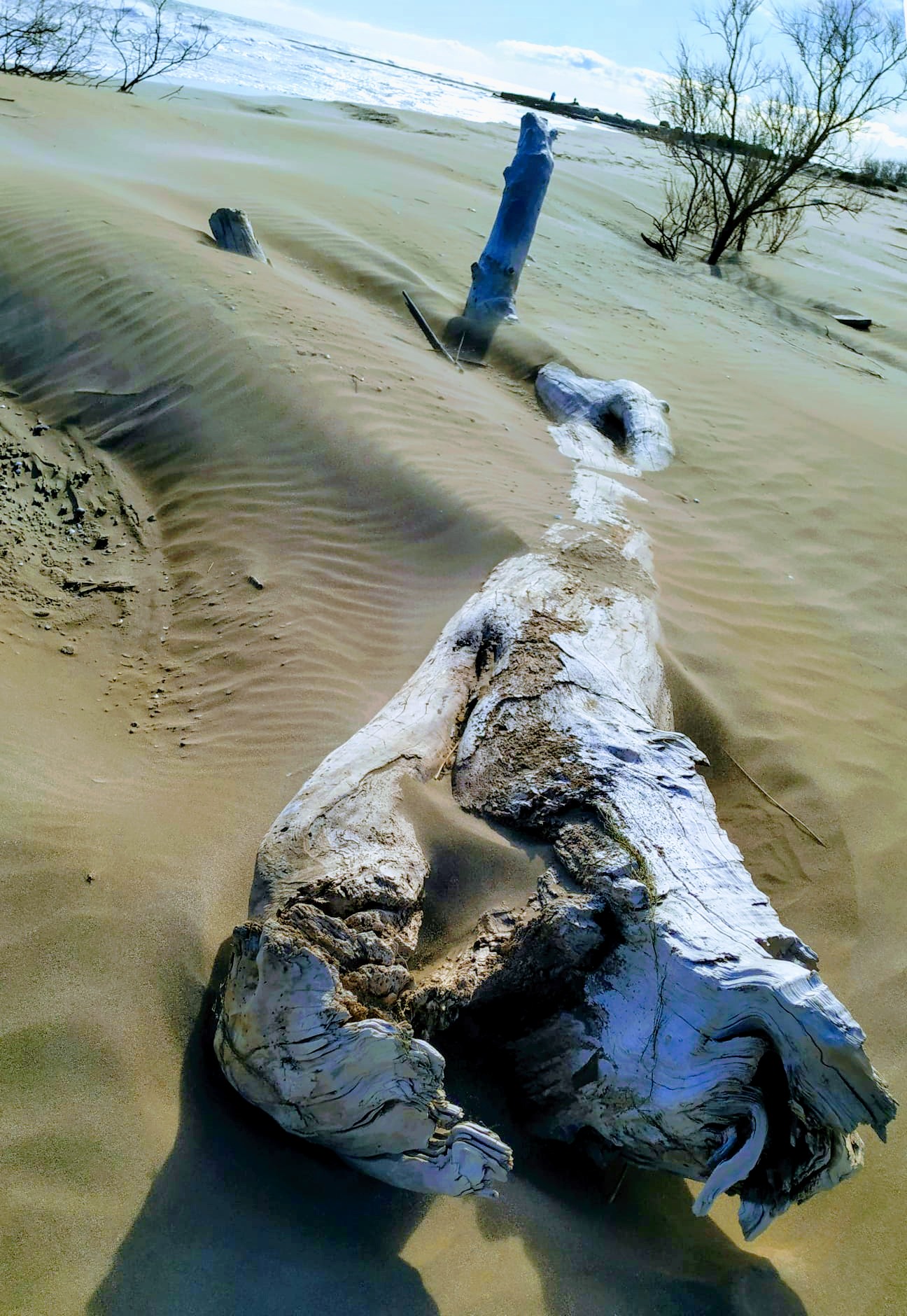 Half buried